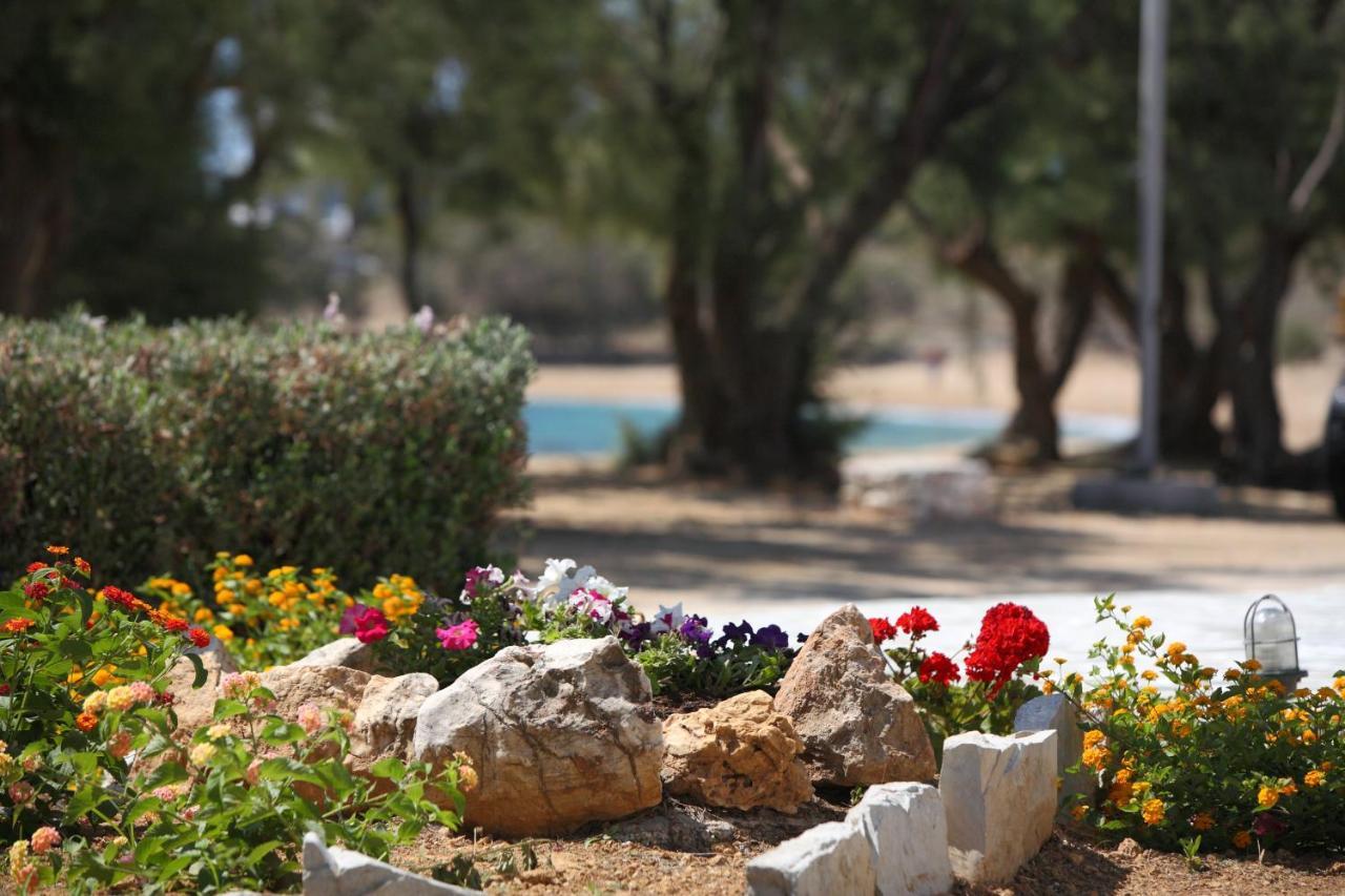 Paros Inn Logarász Kültér fotó